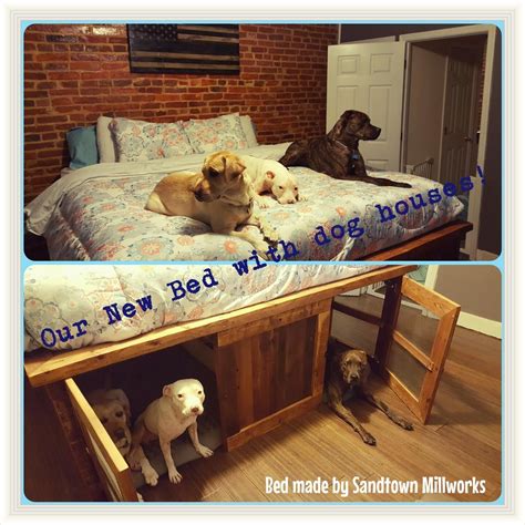 custom bed with doggie underneath.